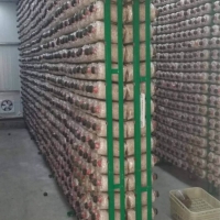 貴州菌棒網格架室內菌類網格網架網格養菌室