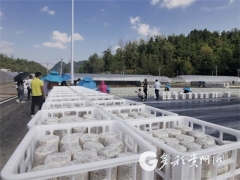 梵天菌業的小目標：制定貴州省黑木耳種植標準 ()