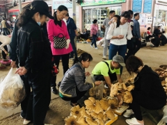 吃菌要抓緊，快落潮啦！昆明野生菌價格上漲 雞樅干巴菌最多 ()