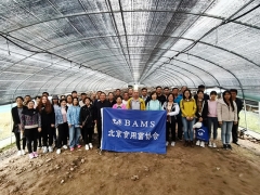北京食用菌協會在河北組織召開食用菌現場觀摩會 ()