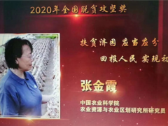 點贊！張金霞、常明昌、侯桂森榮獲2020年全國脫貧攻堅獎 ()