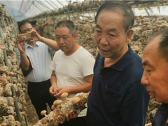 侯桂森：把食用菌帶進貧困縣的“鄉土教授” ()