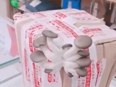 宜賓一快遞站內包裹長出大蘑菇 網友：夠炒一盤了 ()
