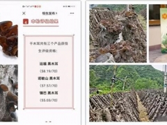 鎮巴黑木耳入選恒生評級資格農產品 ()