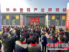 十堰鄖陽香菇產業喜添“國”字招牌 ()