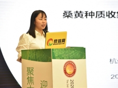 宋吉玲：應加強現有桑黃資源保護 探索適合我國桑黃品種的栽培基質 ()
