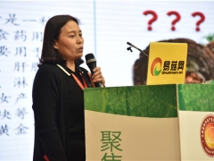 雷萍：桑黃類保健產品市場需求量逐年增長 ()