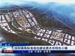 東寧：綏陽鎮高標準規劃建設黑木耳特色小鎮 ()