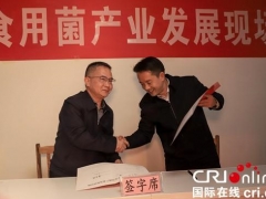 盤水：食用菌產業發展呈良好態勢 ()