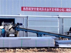 甘肅臨澤縣食用菌產業園鴻澤農業二期工程順利建成投產 ()