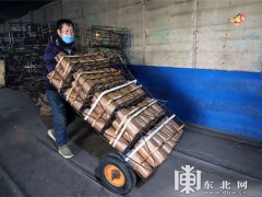 新春開工 森林食用菌迎來發展的春天 ()