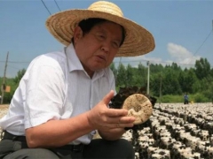“蘑菇院士”李玉：食用菌強國不是夢 ()
