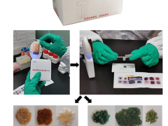 昆明植物所研發出鵝膏環肽毒素劇毒蘑菇快速檢測試劑盒 ()