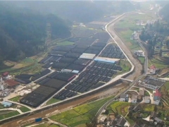 羊肚菌采風第一站：貴州銅仁萬山區敖寨鄉羊肚菌基地 ()