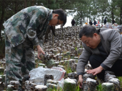 貴州劍河岑松：食用菌助農增收 ()