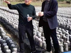 湖北省遠安縣食用菌協會赴房縣考察學習食用菌產業發展 ()