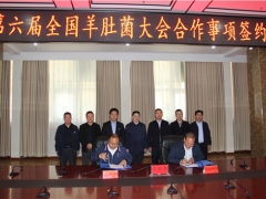 易菇網與舟曲縣就2021第六屆全國羊肚菌大會有關事項簽訂合作協議 ()