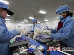 甘州食用菌產業定了一個“十四五”小目標 ()