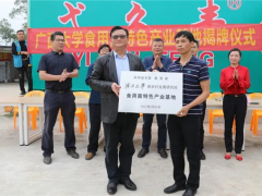 廣西大學食用菌特色產業基地落戶海城區 ()