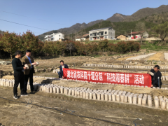 湖北房縣：十堰市農科院院長周華平前往房縣考察食用菌種植情況 ()