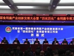 產業發展新格局 河南省第一屆珍稀食用菌產業創新發展大會在寶豐召開 ()