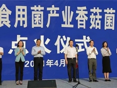 晴隆縣晴秦食用菌農銀企產業共同體創新試點項目一期竣工點火 ()