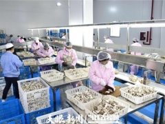 貴州省食用菌產業發展目標增長10%以上 ()