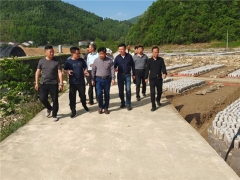湖北省農業科學院領導調研指導房縣天禾食用菌專業合作社黑木耳種植情況 ()