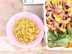 云南：文山又有兩種野生菌上市！價格驚人！ ()