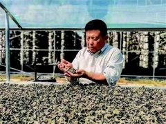 “木耳院士”李玉：“小木耳大產業”的“助產”人 ()