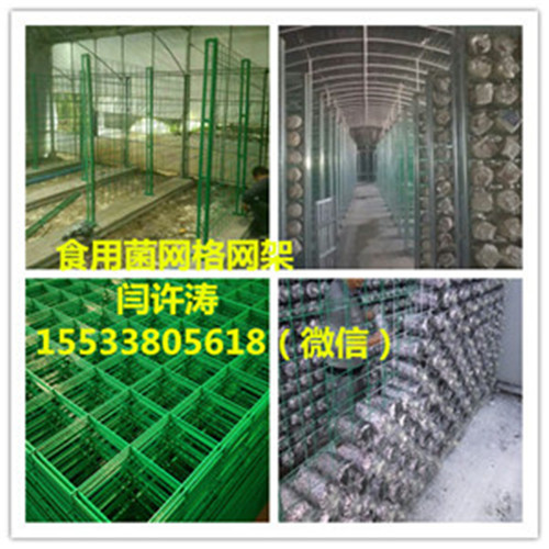 出菇網格架安裝擺放