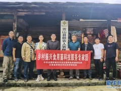 “鄉村振興食用菌科技服務專家團”赴怒江州開展科技服務 ()