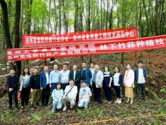 專家助力，貴陽市順海林場岔二巖林下紅托竹蓀種植基地成功開展種植技術培訓會 ()