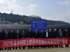 博士服務團“組團式”幫扶 為貴州食用菌高質量發展增勢賦能 ()