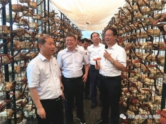 河南農業大學校長介曉磊率團前往世紀香食用菌公司調研并開展校企深度合作 ()