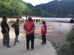河南：食用菌產業科技特派團到盧氏開展災后指導 ()