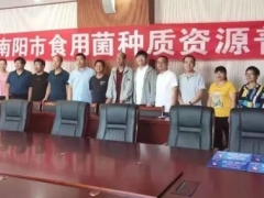 南陽全面展開大宗野生菌類種質資源普查 ()