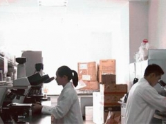 全球最全科學清單發布 云南野生菌多樣性走向世界 ()