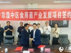 投資5億元！西寧市湟中區食用菌產業迎來提檔升級 ()