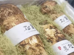 借道成都 蟲草出口激增29倍，松茸2.5倍 ()