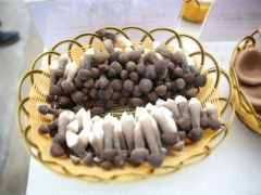 強化菌材保供 推進林菌發展 ()
