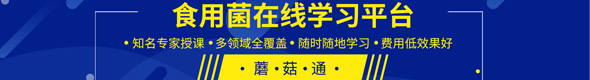 蘑菇世界，探無止境