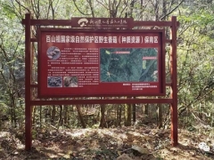浙江首個省級食用菌種質資源庫在慶元縣建成并通過驗收 ()