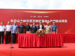 吉林磐石：取柴河鎮舉行長白山大樹云靈芝種植基地產銷聯動項目簽約揭牌儀式 ()