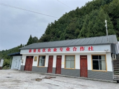 四川：光伏大棚下種食用菌“照”亮山區鄉村振興路 ()