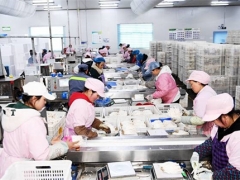 貴州大方：日產量達70噸，產值達60余萬元！工廠化種植食用菌助農增收 ()