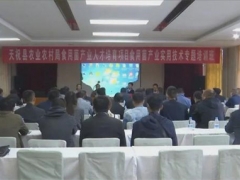 甘肅省天?？h開展食用菌實用技術專題培訓 ()