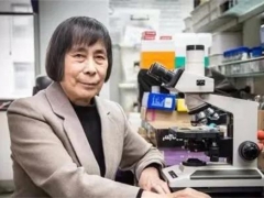 中國科學院院士、中科院微生物研究所研究員莊文穎：為認識真菌付出畢生努力 ()