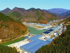 陜西商洛丹鳳良種天麻產業園——秦嶺深處的大健康產業 ()