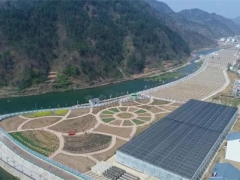丹鳳縣巒莊鎮：推進生態產業建設 打造綠色宜居家園 ()
